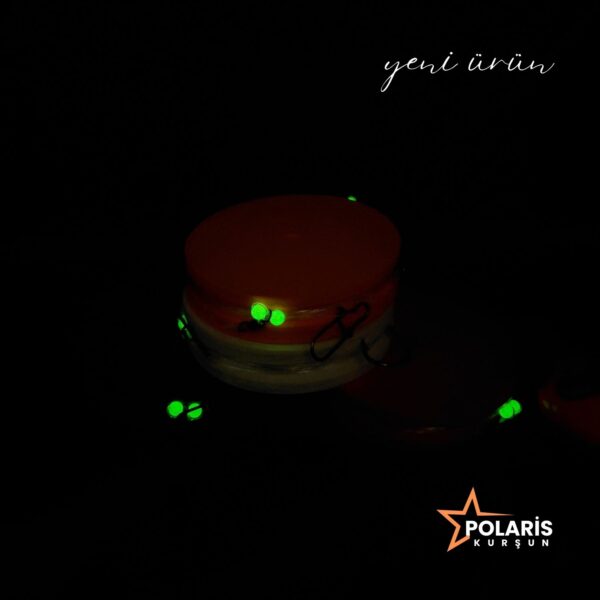 Pater Noster 2 İğneli Surf Casting Takımı (100 Gr. Polaris Surf Kurşunlu)